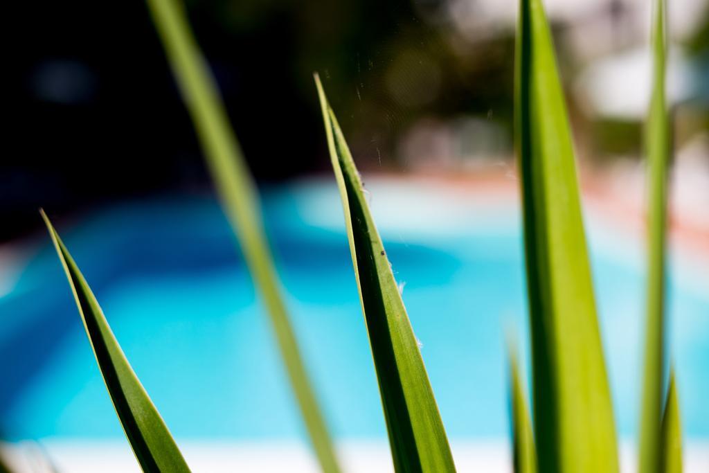 Hotel Le Rocce Magione Kültér fotó